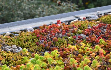 the cost of Moniaive green roof installation