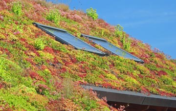 Moniaive living roof systems