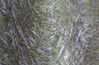 Moniaive fibreglass roof work